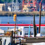 a white bird on a boat