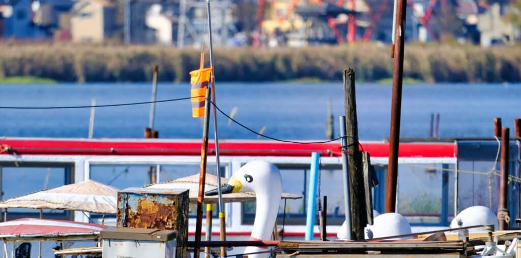 a white bird on a boat