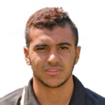 A. Elgenawy